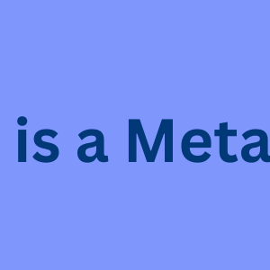 What is a Metaphor | Example of Metaphor